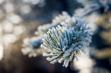 Similar image 1698161