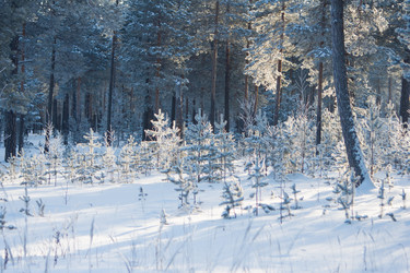 Similar image 1698162