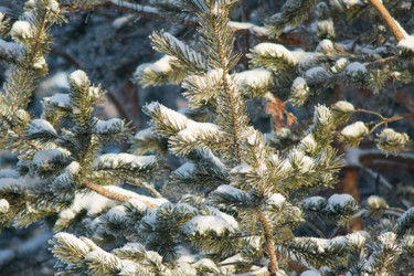 Similar image 1698163