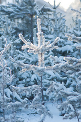 Similar image 1698164