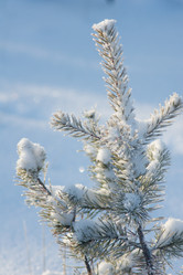 Similar image 1698165