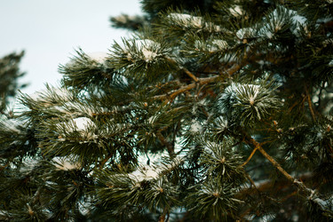 Similar image 1698166