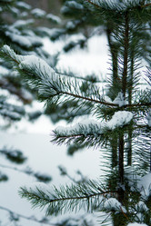 Similar image 1698187