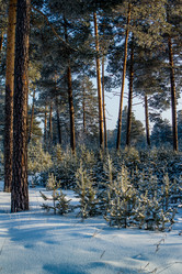 Similar image 1698189