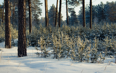 Similar image 1698190