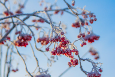 Similar image 1698191