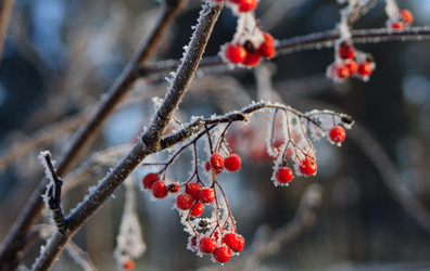 Similar image 1698192