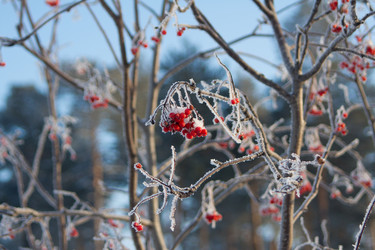 Similar image 1698193