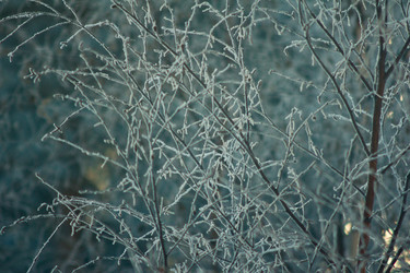 Similar image 1698194