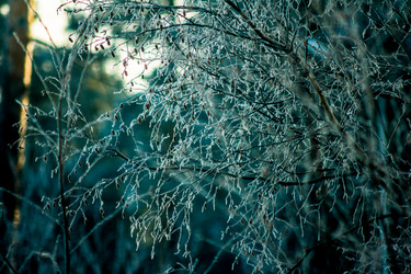 Similar image 1698195