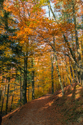 Similar image 1699311