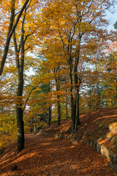 Similar image 1699312