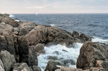 Similar image 1699414