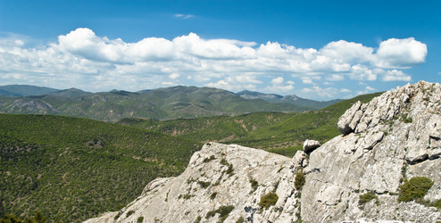 Similar image 1699417