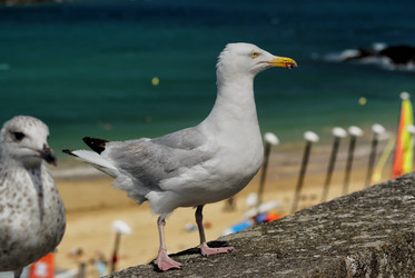 Similar image 1700551