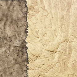 Similar image 1701779