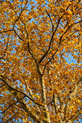 Similar image 1701803