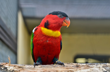 Similar image 1701806