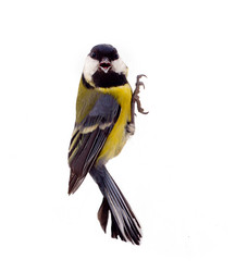 Similar image 1701807