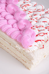 Similar image 1702146