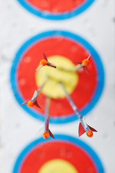 Similar image 1703365