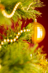 Similar image 1703455