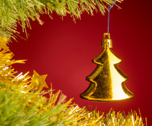 Similar image 1703457