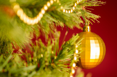 Similar image 1703476