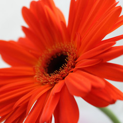 Similar image 1704078