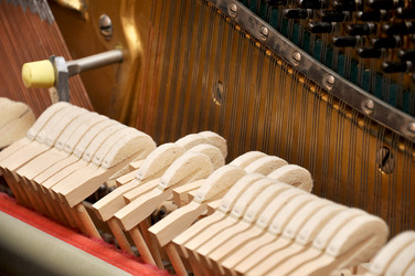 Similar image 1704221