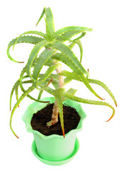 Similar image 1704525