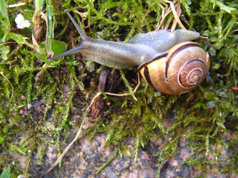 Similar image 1704567