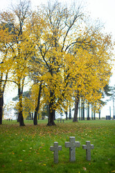 Similar image 1704631