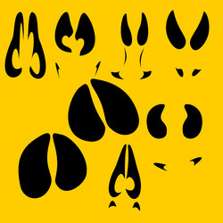 Similar image 1704717