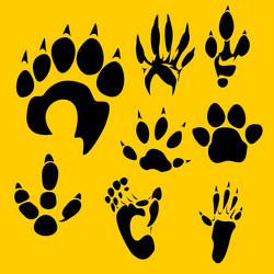 Similar image 1704718