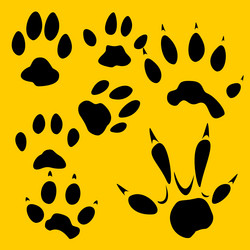 Similar image 1704721