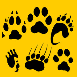 Similar image 1704722