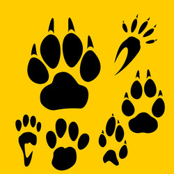 Similar image 1704723