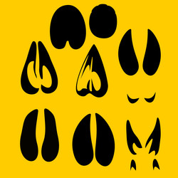 Similar image 1704725