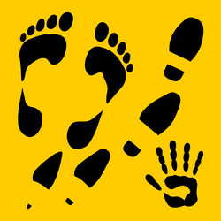 Similar image 1704736