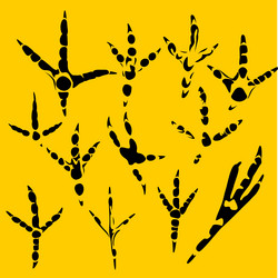 Similar image 1704747