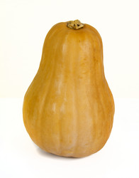 Similar image 1705447