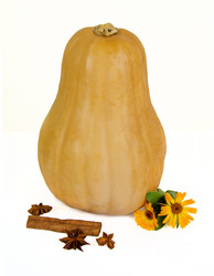 Similar image 1705453