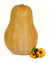 Similar image 1705454