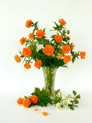 Similar image 1705657