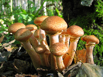 Similar image 1705748