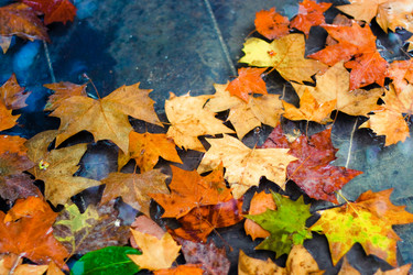 Similar image 1705845