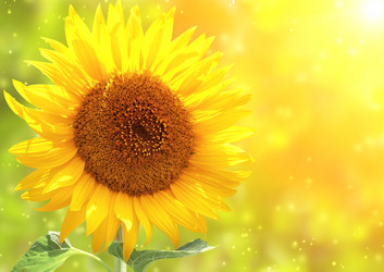 Similar image 1706754