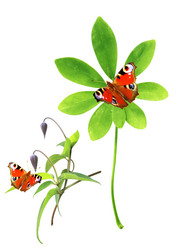 Similar image 1706787