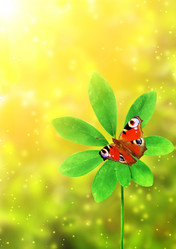 Similar image 1706805